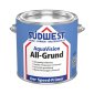 Universal water-based primer SÜDWEST Aqua Vision® All-Grund