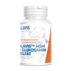 ALAVIS MSM + Glukosamin sulfát 60 tbl
