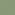 RAL6021 - pale green