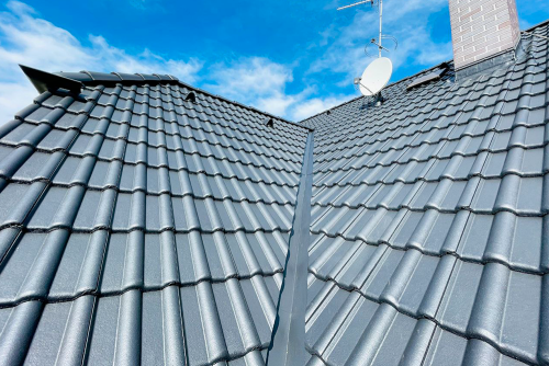 Vopsea renovatoare pentru acoperiș SÜDWEST Dach-Farbe