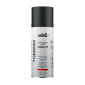 COLORS Hitzefest Sprühlack - 400ml Hochtemperatur Spraydose