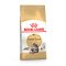 Royal Canin Maine Coon Adult hrana za odrasle maine coon mačke