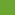 kiwi zielony