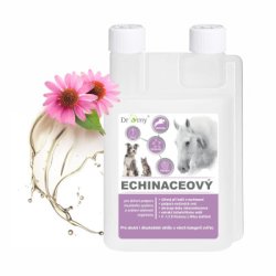 DROMY Echinacea Sirup 1000 ml