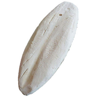 Sépiová kosť bez držiaka 20cm 1ks