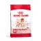 Royal Canin Medium Adult