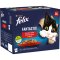 FELIX Fantastic lahodný výběr v želé kuře / hovězí / králík / jehně 24x85g
