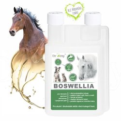 DROMY Boswellia flüssig 1000 ml