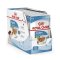 Royal Canin Hund Mini Puppy Pouches 12 x 85 g