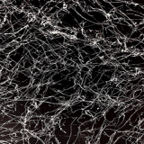 Ασημένιος ιστός αράχνης