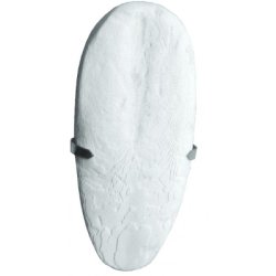 Tintahalcsont tartóval 12–15 cm 1 db