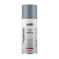 COLORS Hitzefest Sprühlack - 400ml Hochtemperatur Spraydose